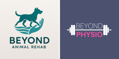 Beyond Physio and Beyond Animal Rehab company logo