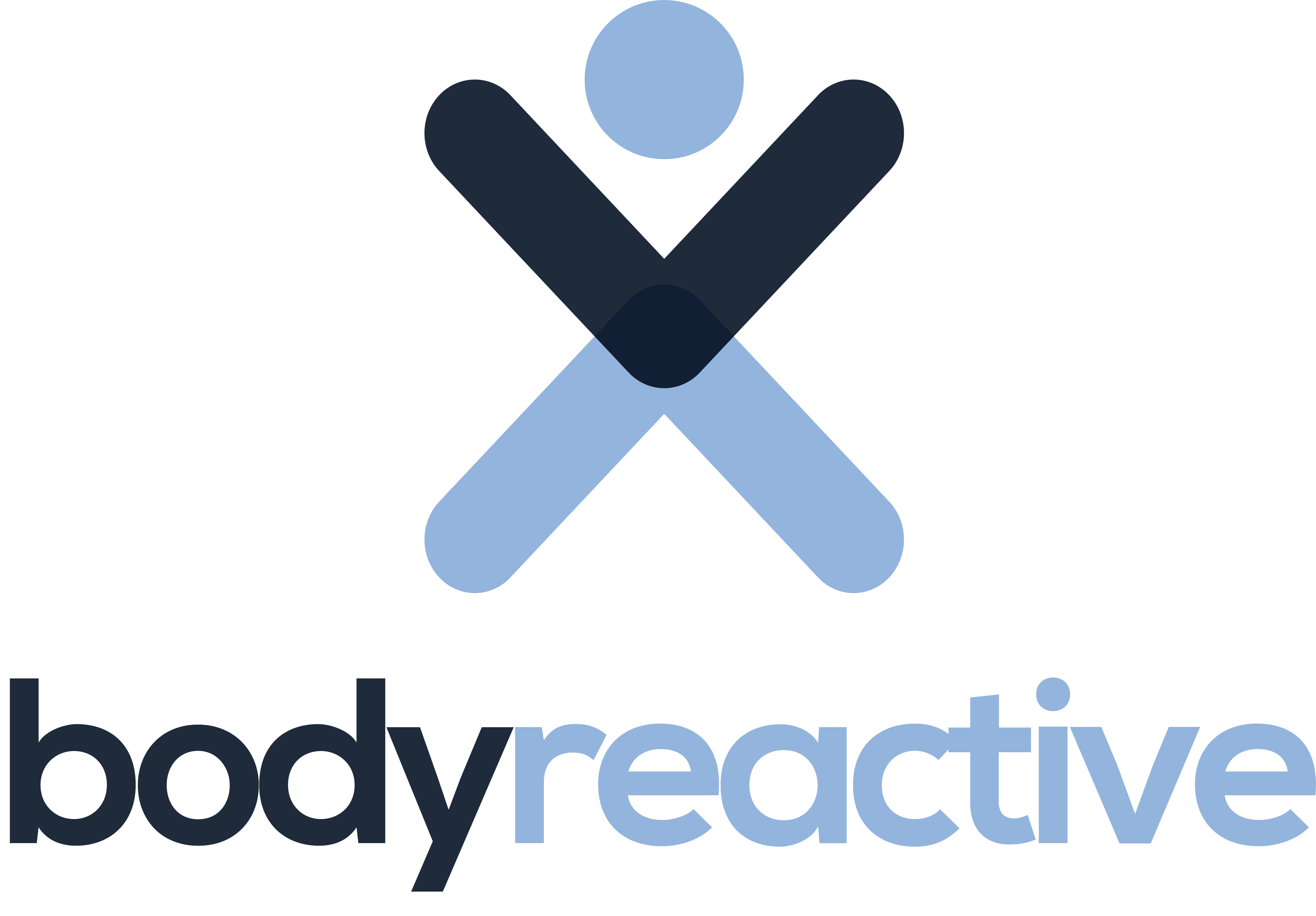 Bodyreactive company logo